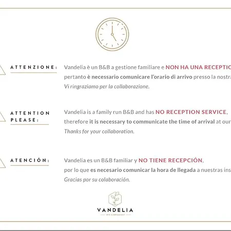 Vandelia 4* Molfetta