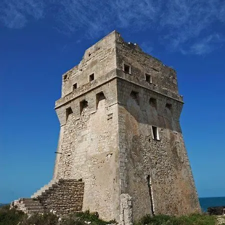 Vandelia Bed & Breakfast